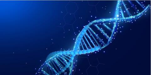 独言口腔小程序正式上线