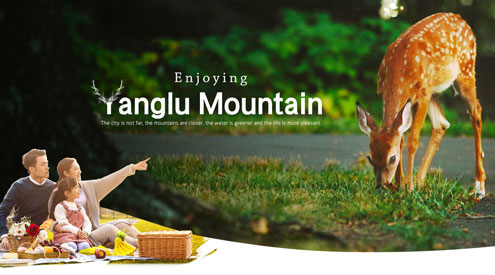 羊鹿山景区官网正式上线